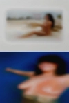 Frogs area swingers
